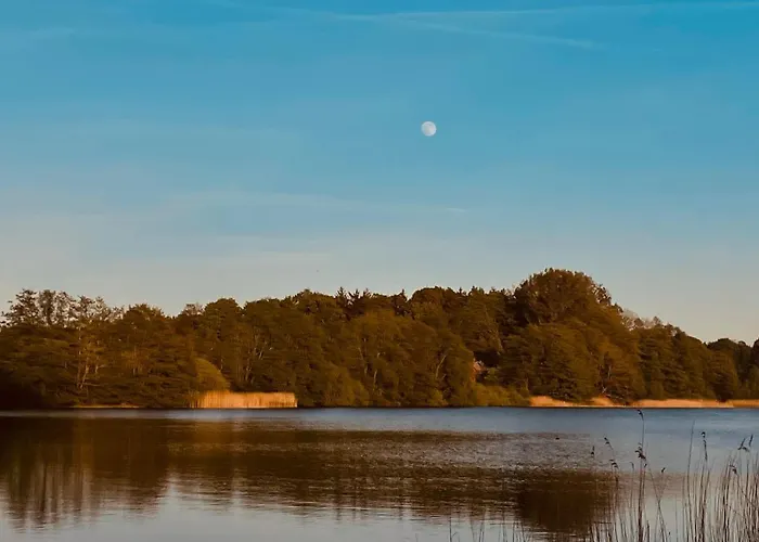 Tiny Igloo Joergensen *